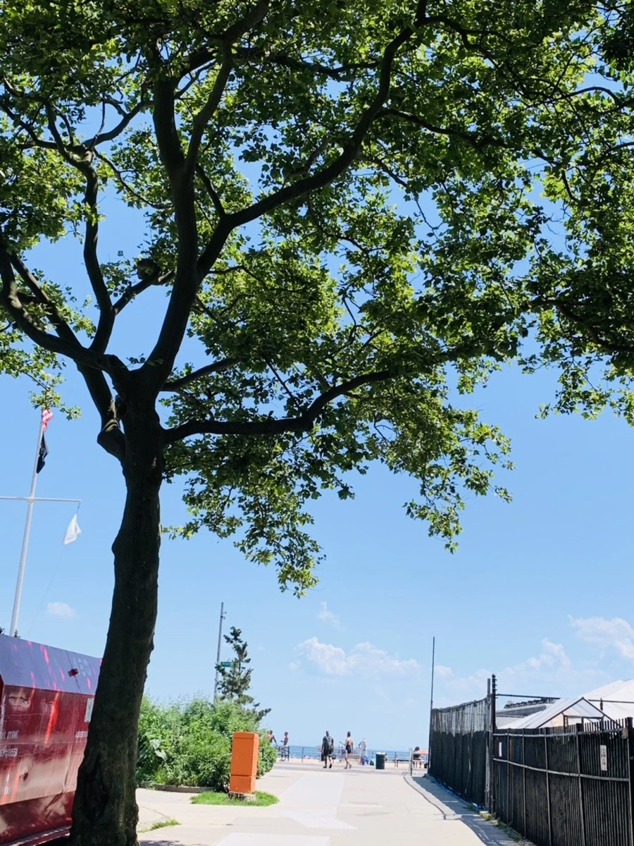 amwDYQodHAac1B3GlhGHaASkLeY