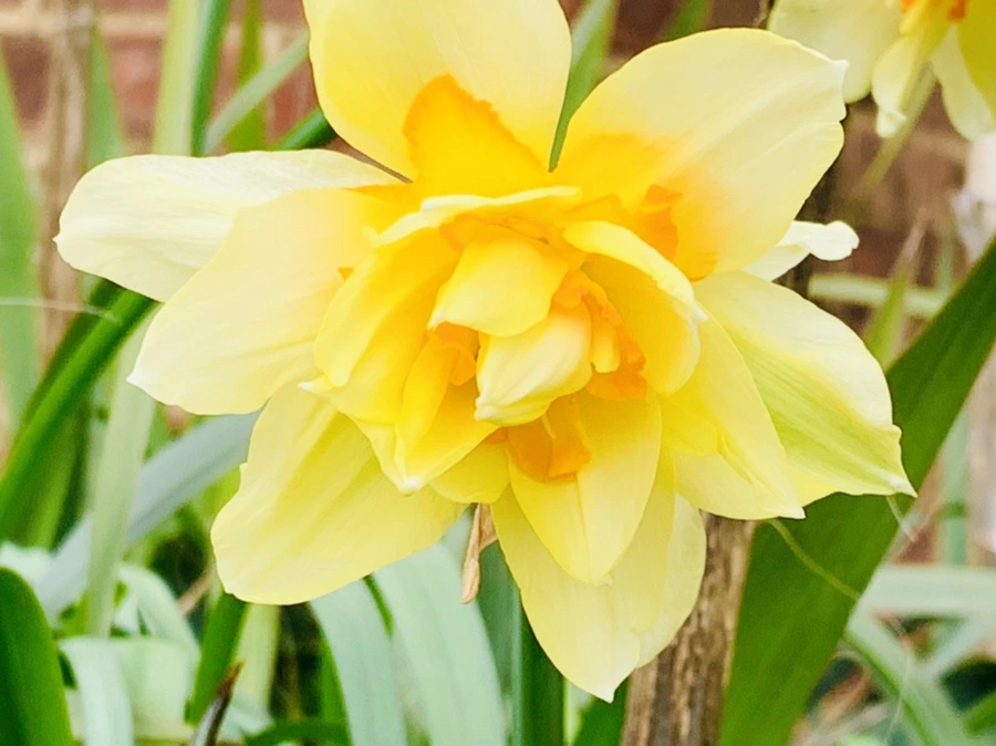 IMG_6822.jpg?type=w966