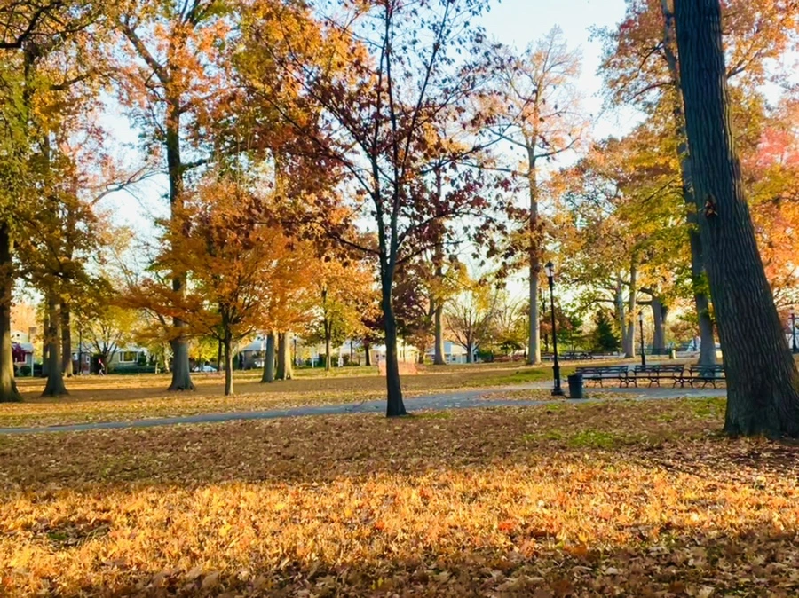 IMG_4086.jpg?type=w966