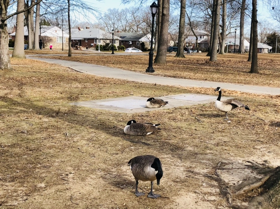 IMG_5781.jpg?type=w966