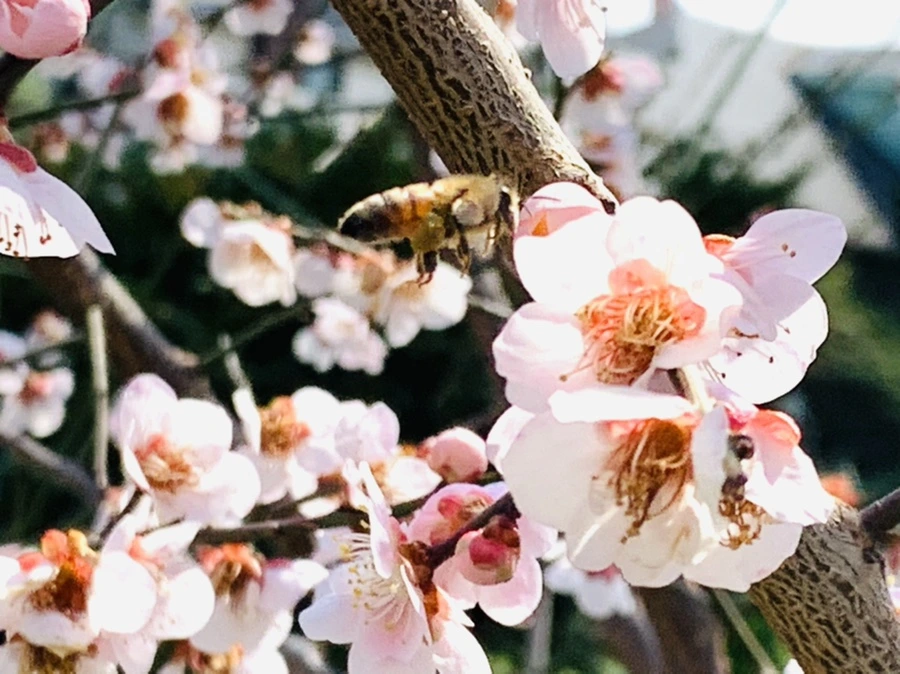 IMG_4225.jpg?type=w966