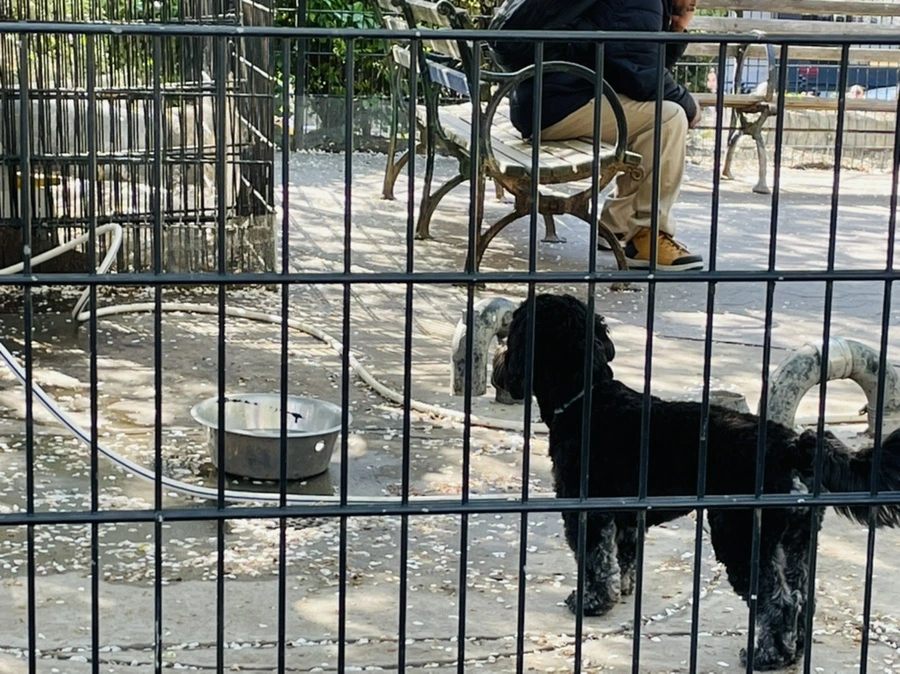 IMG_2369.jpg?type=w966