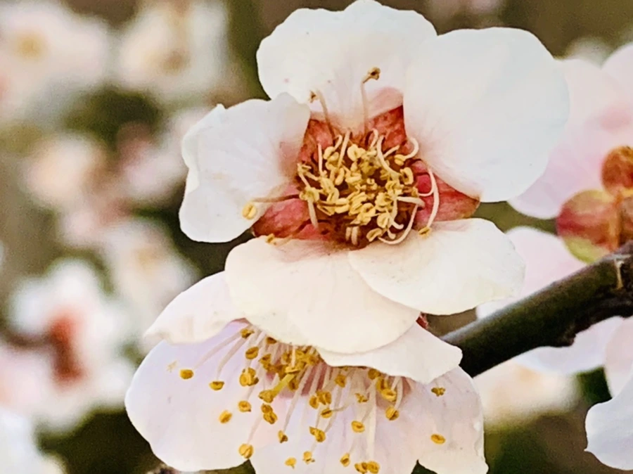 IMG_2854.jpg?type=w966