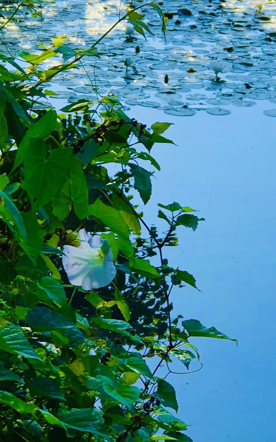 RuSJ0GI7aGbpb-oaQFvDFClTPqk