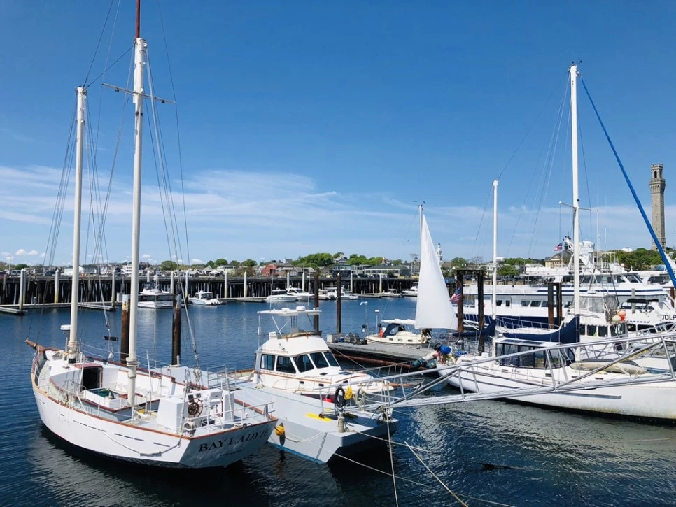 IMG_5004.jpg?type=w966