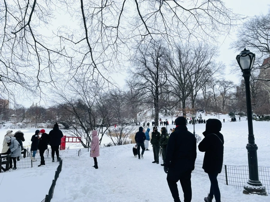 IMG_0831.jpg?type=w966