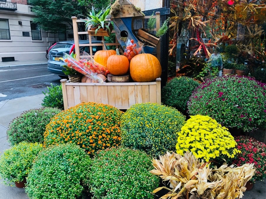 IMG_6844.jpg?type=w966