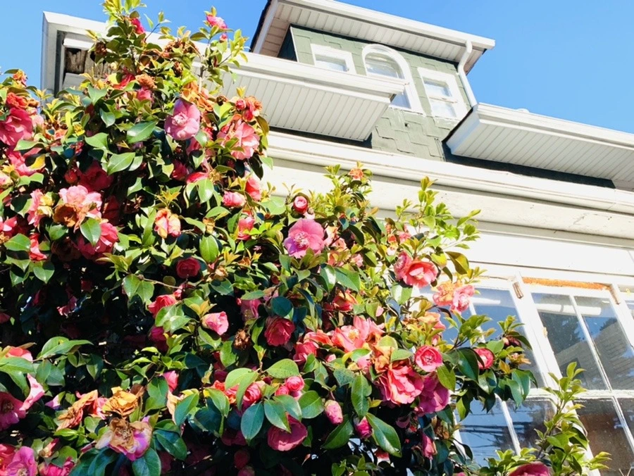 0hXUpQUry_oq0el2hgL_qbtRndI