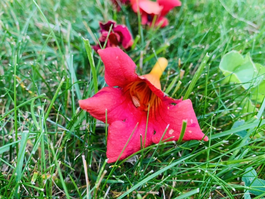 IMG_7452.jpg?type=w966