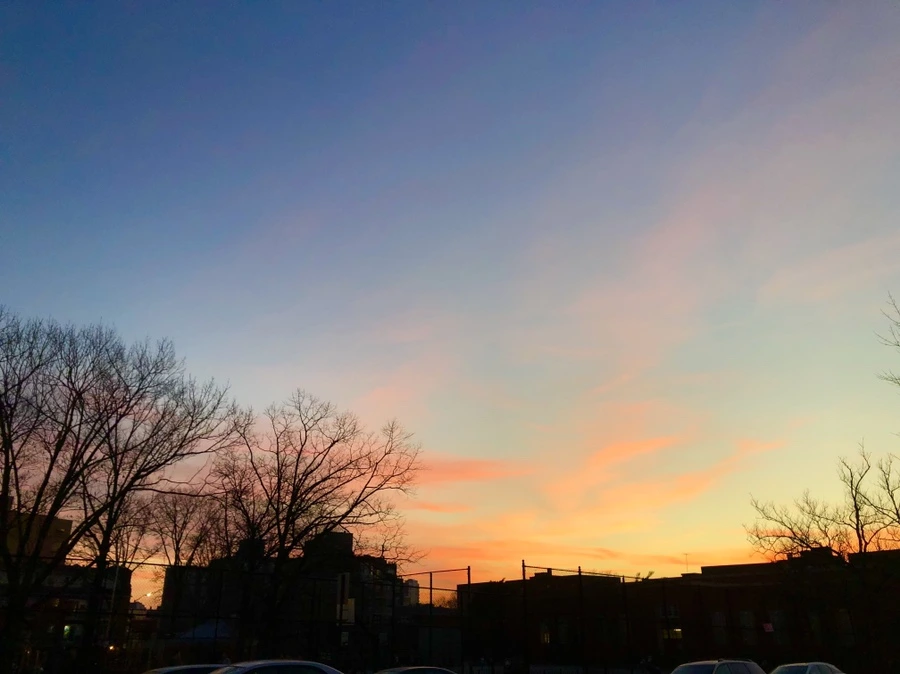 IMG_6562.jpg?type=w966