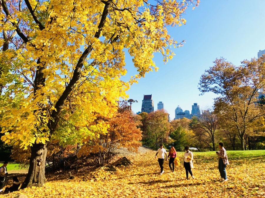 IMG_4237.jpg?type=w966