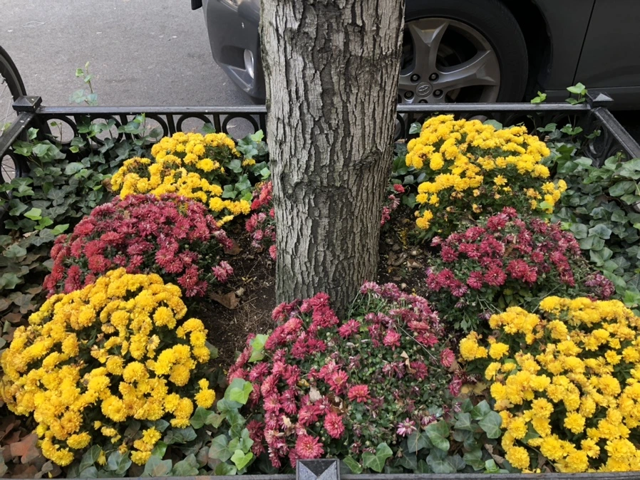 IMG_1800.jpg?type=w966