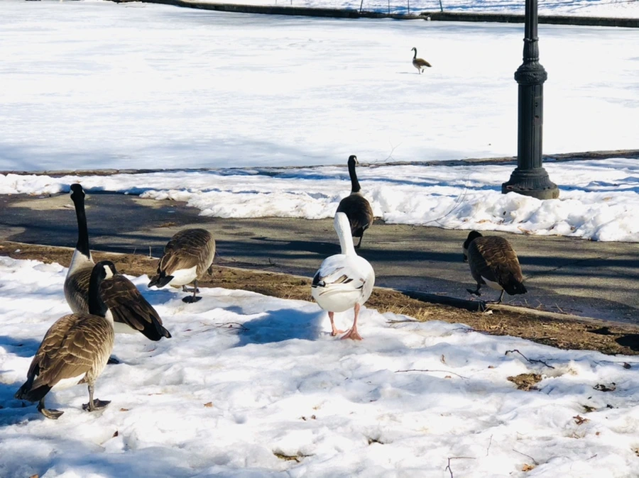 IMG_4876.jpg?type=w966