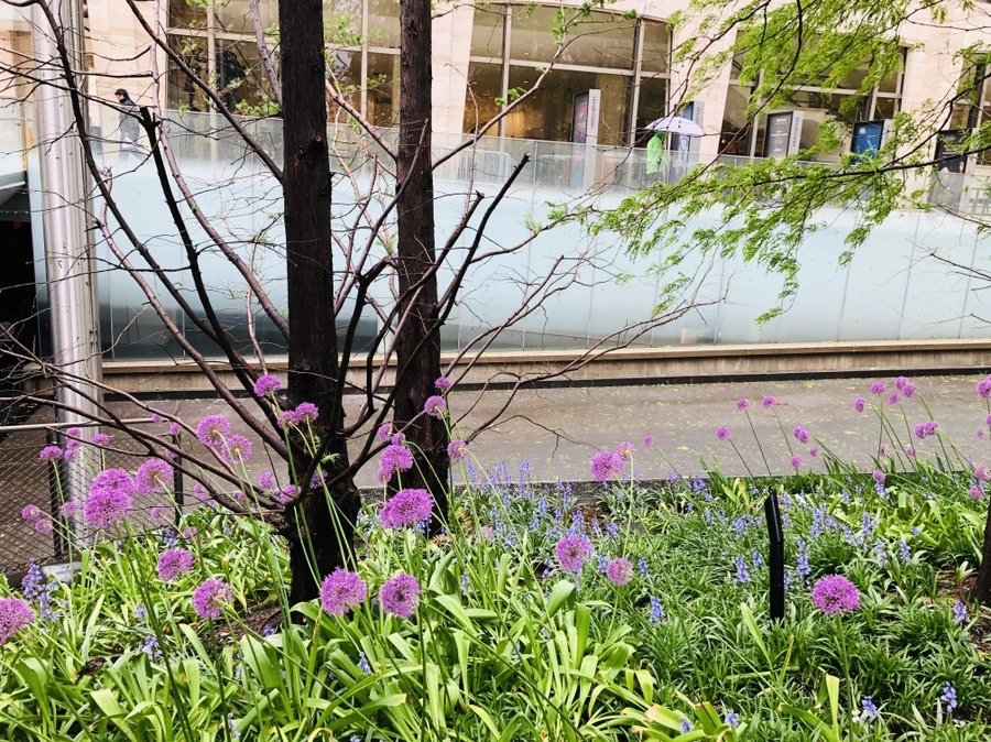 IMG_4606.jpg?type=w966