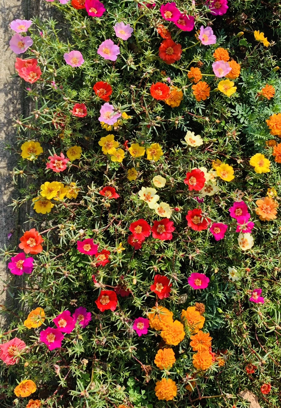 IMG_6633.jpg?type=w966