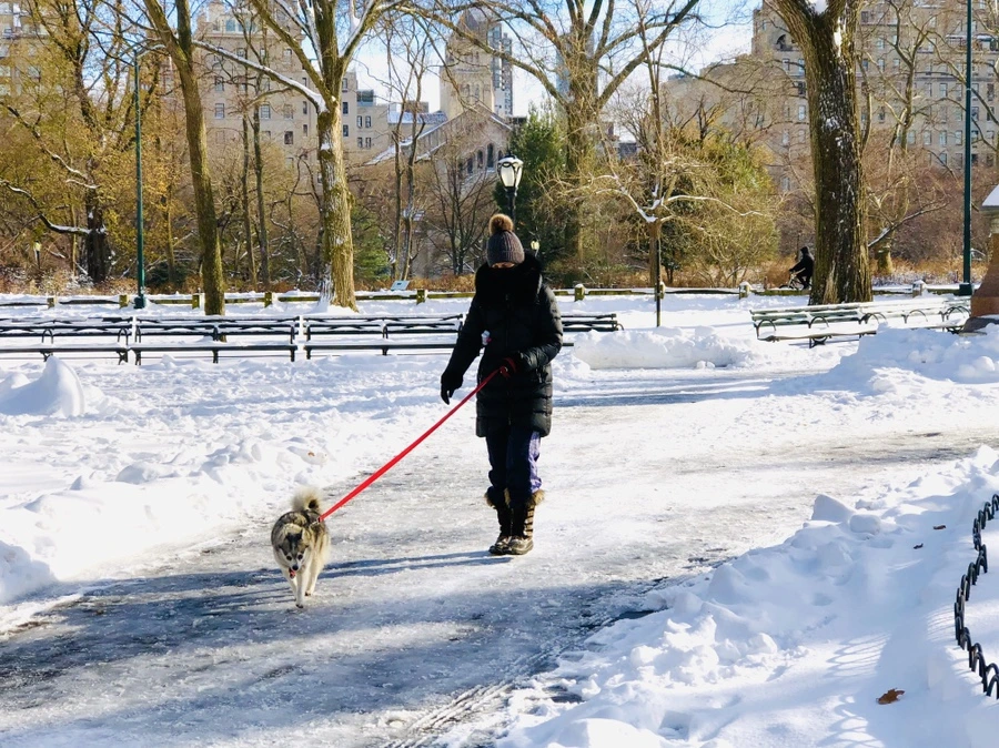 IMG_7055.jpg?type=w966