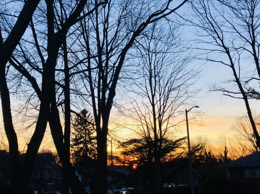 IMG_4597.jpg?type=w966