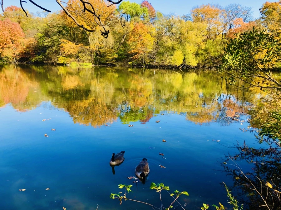 IMG_3896.jpg?type=w966