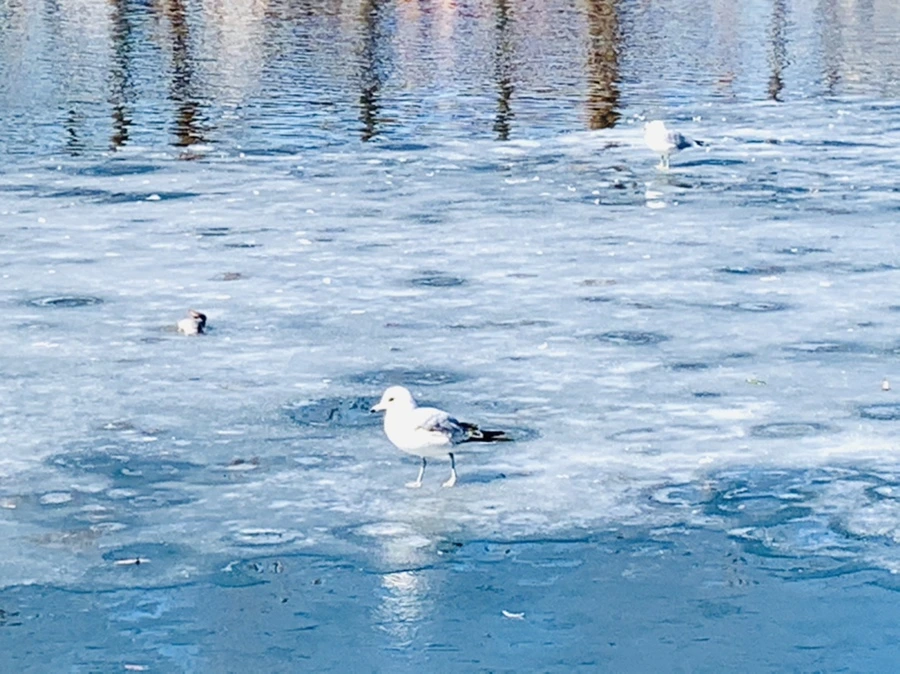 IMG_6982.jpg?type=w966