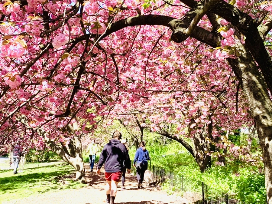 IMG_5912.jpg?type=w966