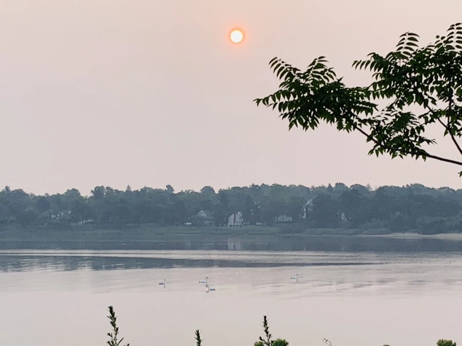 IMG_8375.jpg?type=w966