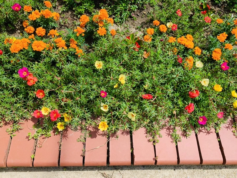 IMG_0658.jpg?type=w966