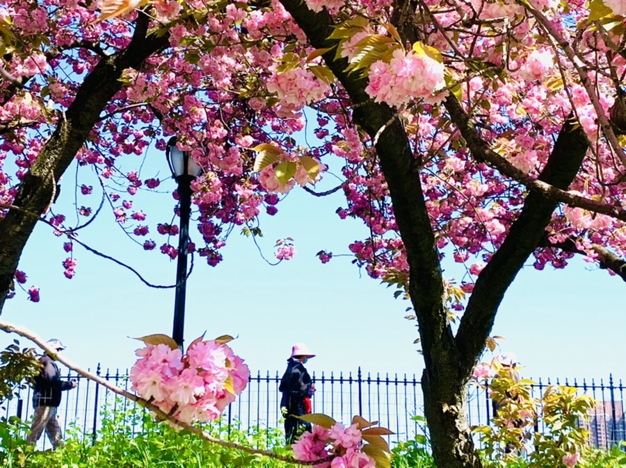 IMG_5865.jpg?type=w966