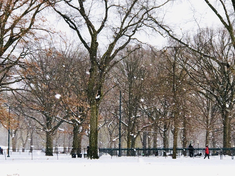 IMG_7144.jpg?type=w966