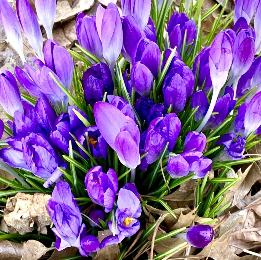 IMG_1492.jpg?type=w966