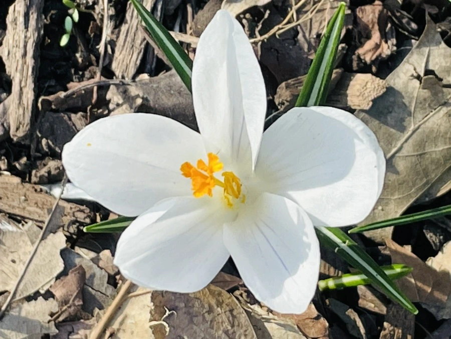 IMG_5922.jpg?type=w966