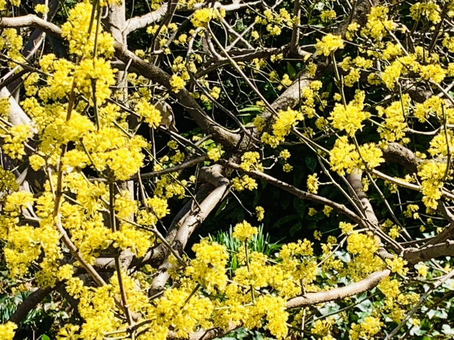 IMG_5679.jpg?type=w966