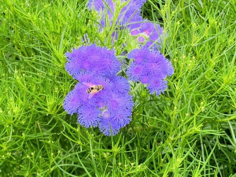 IMG_4940.jpg?type=w966