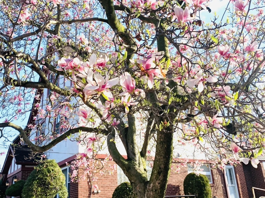 IMG_2674.jpg?type=w966