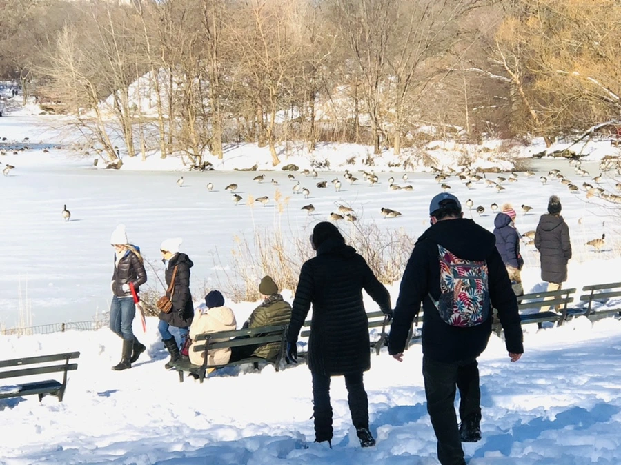 IMG_9818.jpg?type=w966