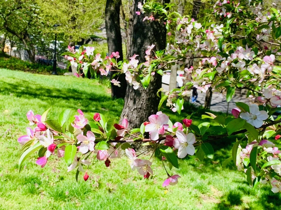 IMG_5715.jpg?type=w966