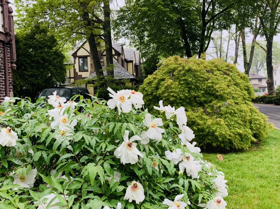 IMG_9669.jpg?type=w966