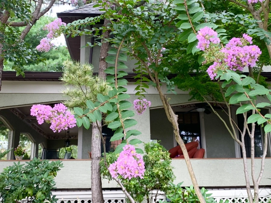 IMG_5952.jpg?type=w966