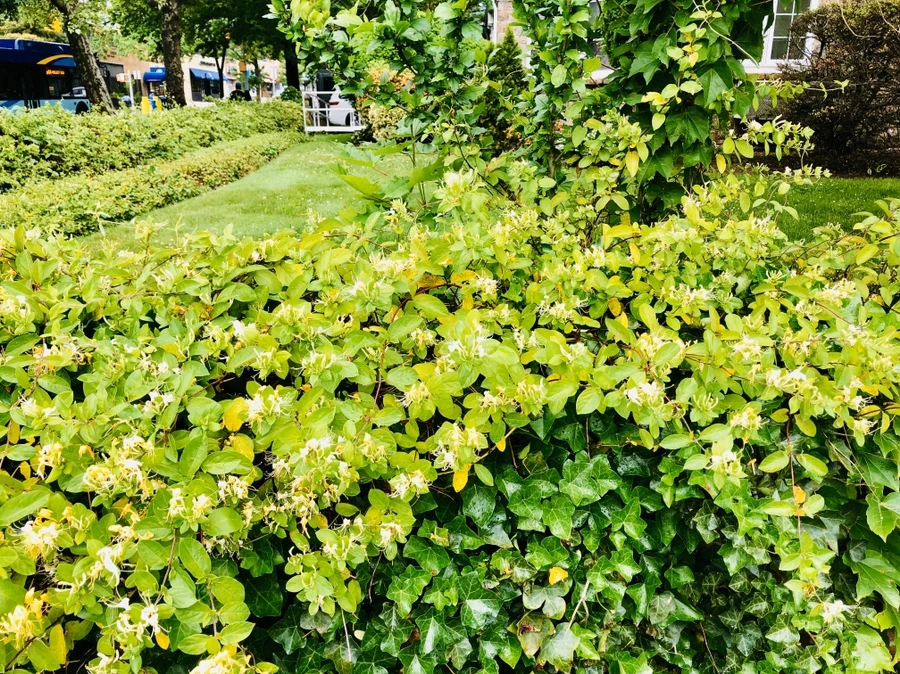 IMG_8198.jpg?type=w966