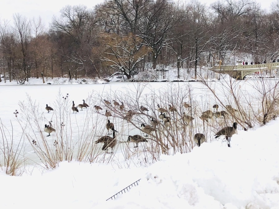 IMG_9497.jpg?type=w966