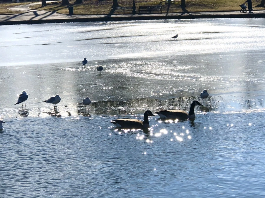 IMG_6855.jpg?type=w966