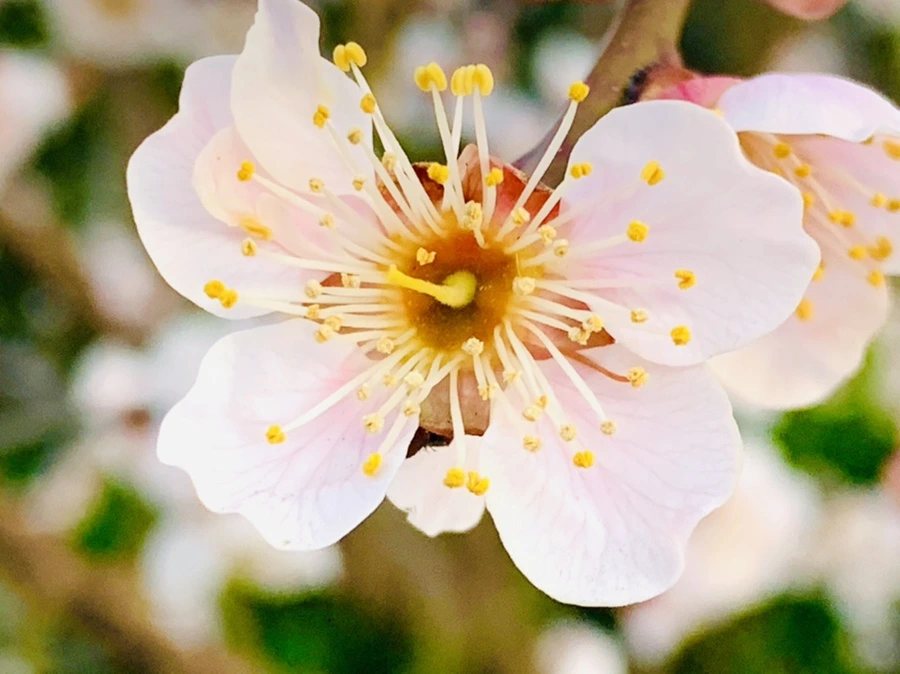 IMG_2339.jpg?type=w966