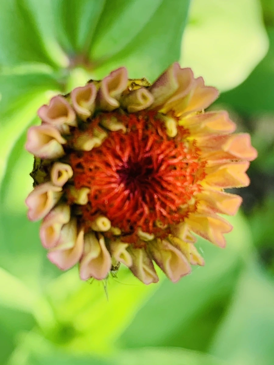 IMG_8280.jpg?type=w966