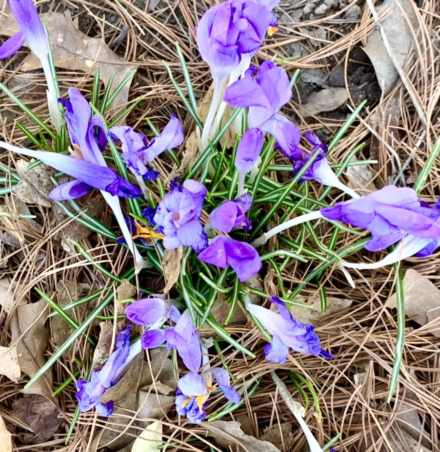 IMG_1428.jpg?type=w966