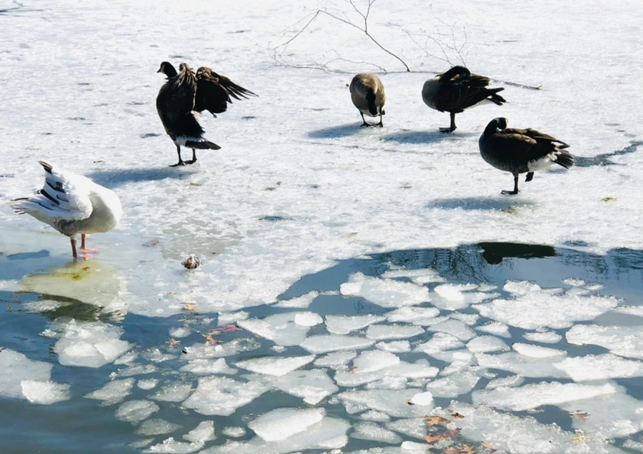 IMG_5433.jpg?type=w966