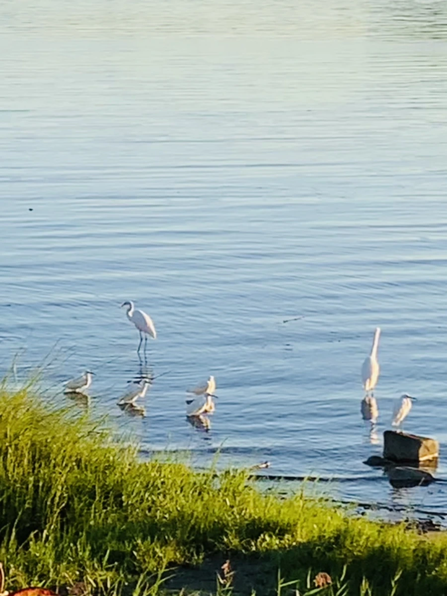 IMG_7156.jpg?type=w966