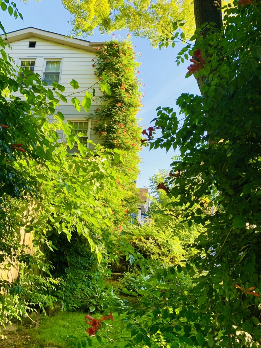 IMG_6486.jpg?type=w966