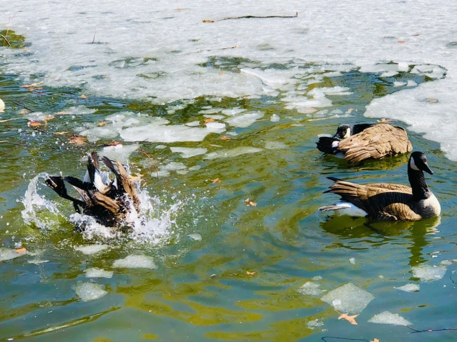 IMG_5131.jpg?type=w966