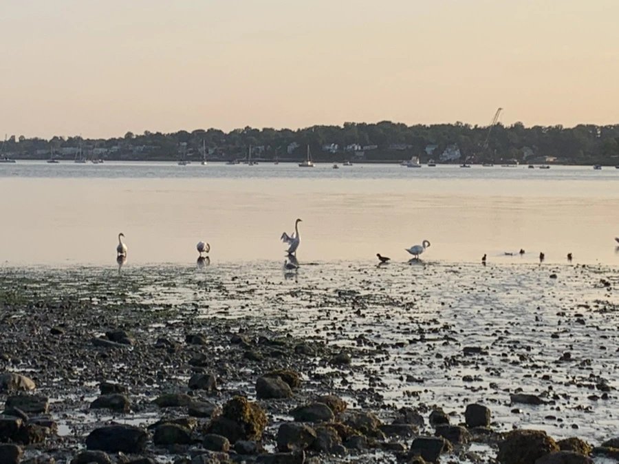 IMG_9753.jpg?type=w966