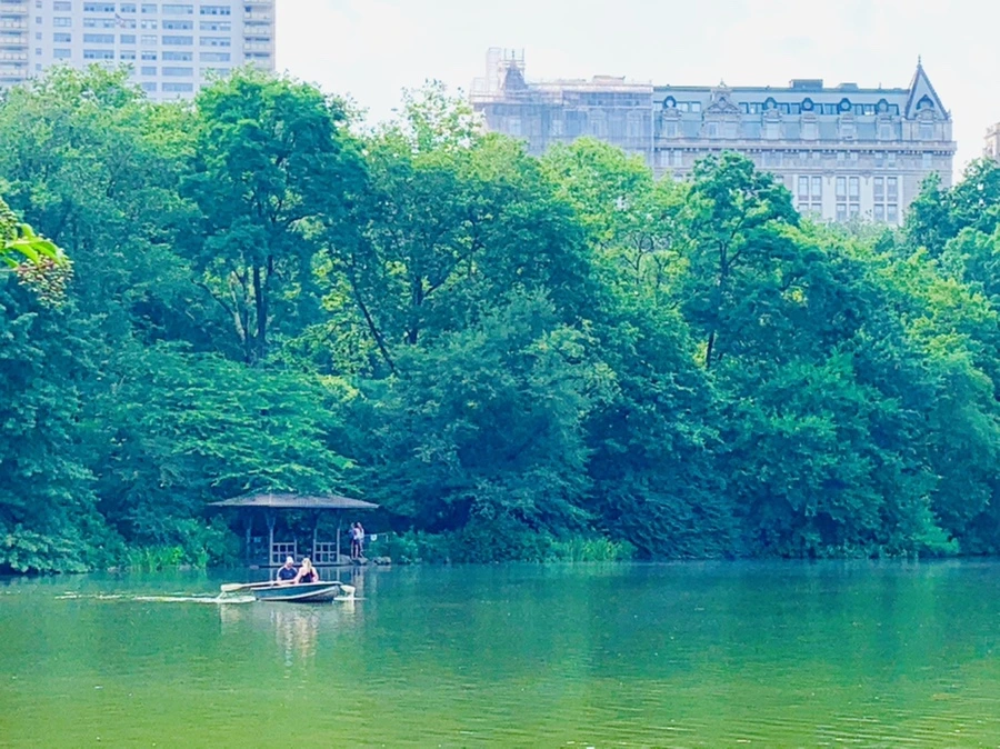 IMG_1715.jpg?type=w966