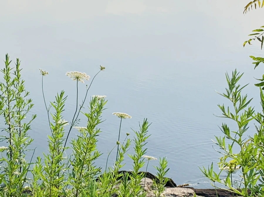 IMG_6294.jpg?type=w966